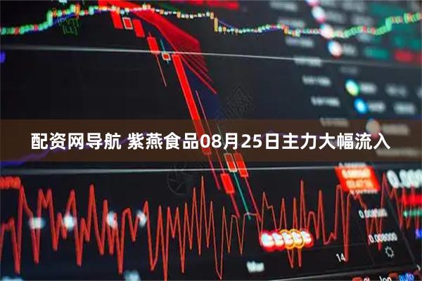配资网导航 紫燕食品08月25日主力大幅流入